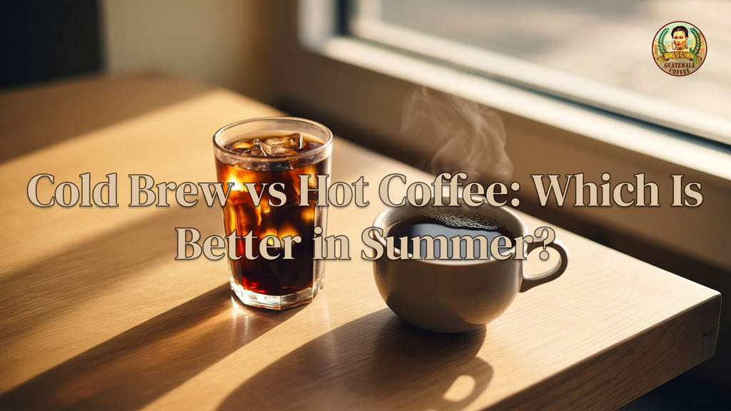 Cold Brew vs Hot Coffee: Which Is Better in Summer?