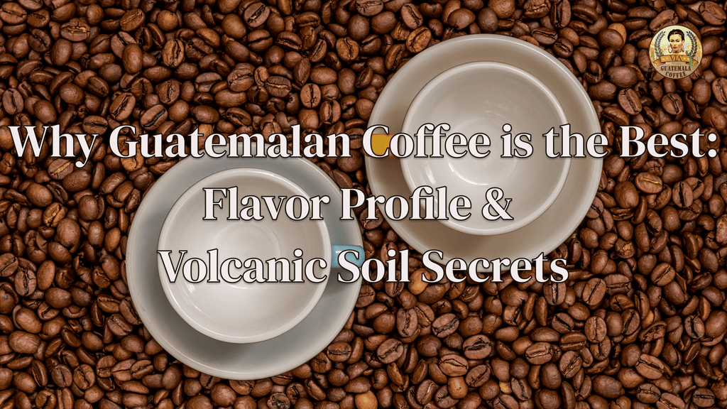 Why Guatemalan Coffee is the Best: Flavor Profile & Volcanic Soil Secrets