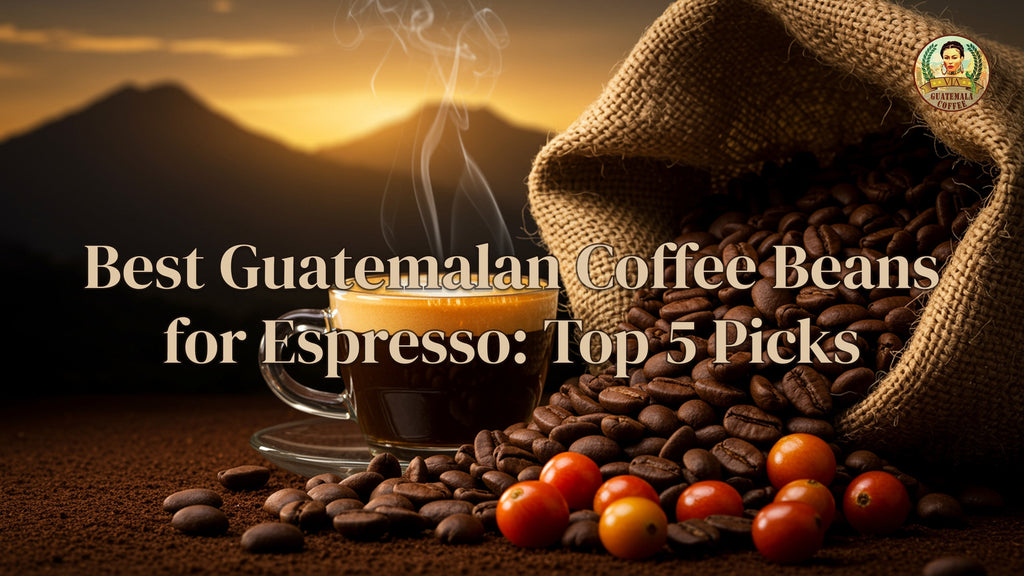Best Guatemala Coffee Beans for Espresso - Top 5 Picks 2026