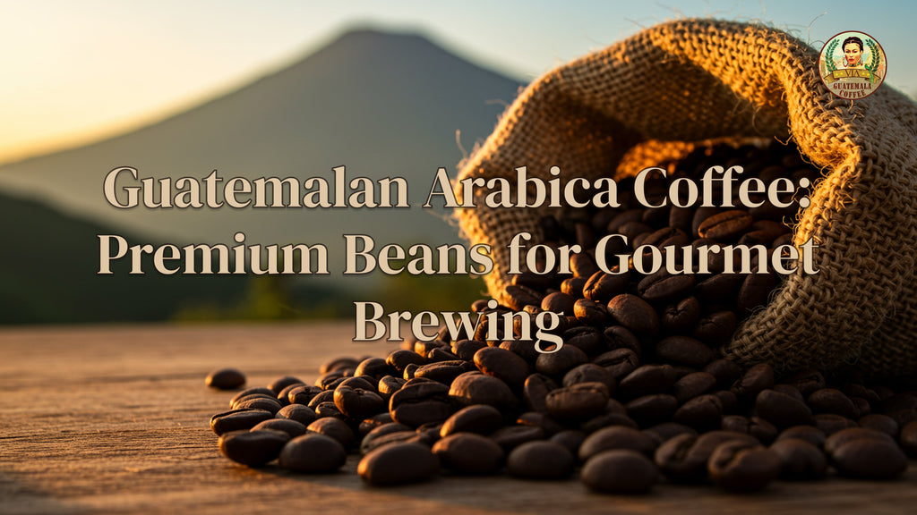 Guatemalan Arabica Coffee: Premium Beans for Gourmet Brewing 
