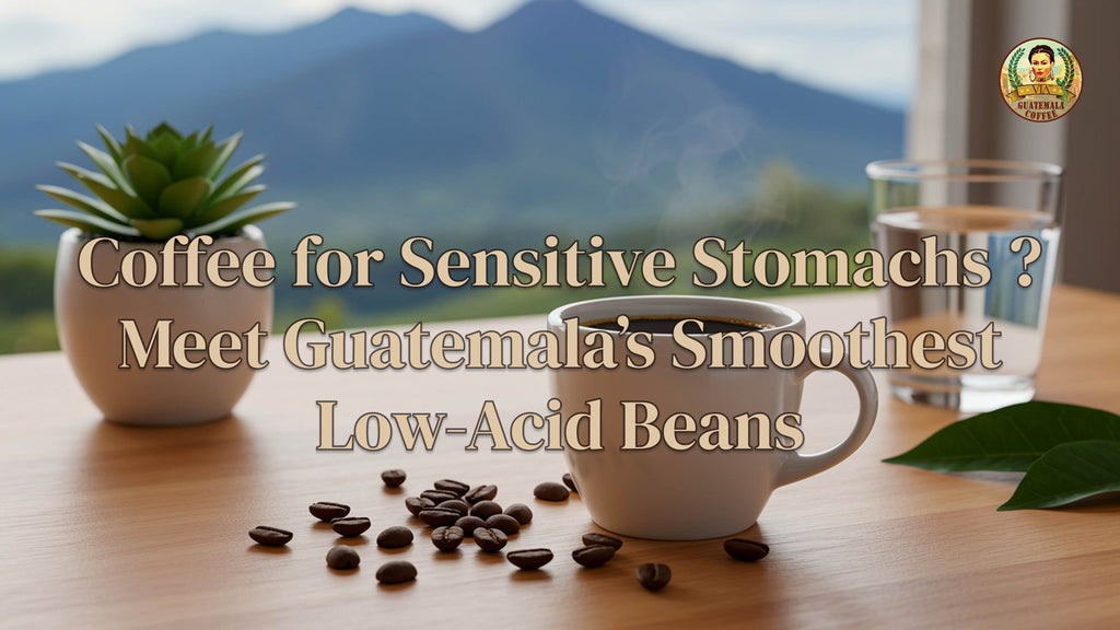 Coffee for Sensitive Stomachs ? Meet Guatemala’s Smoothest Low-Acid Beans