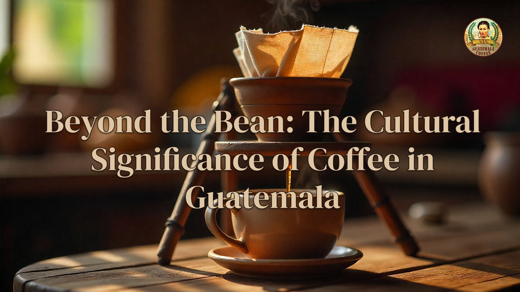 Guatemalan Coffee Culture: Beyond the Bean to Rich Traditions