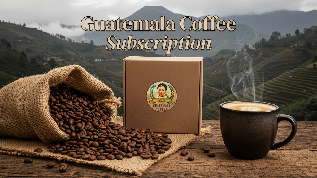 Why a Guatemala Coffee Subscription Is Worth Every Penny