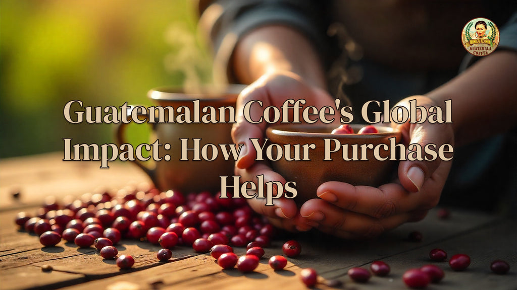 Guatemalan Coffee's Global Impact: How Your Purchase Helps