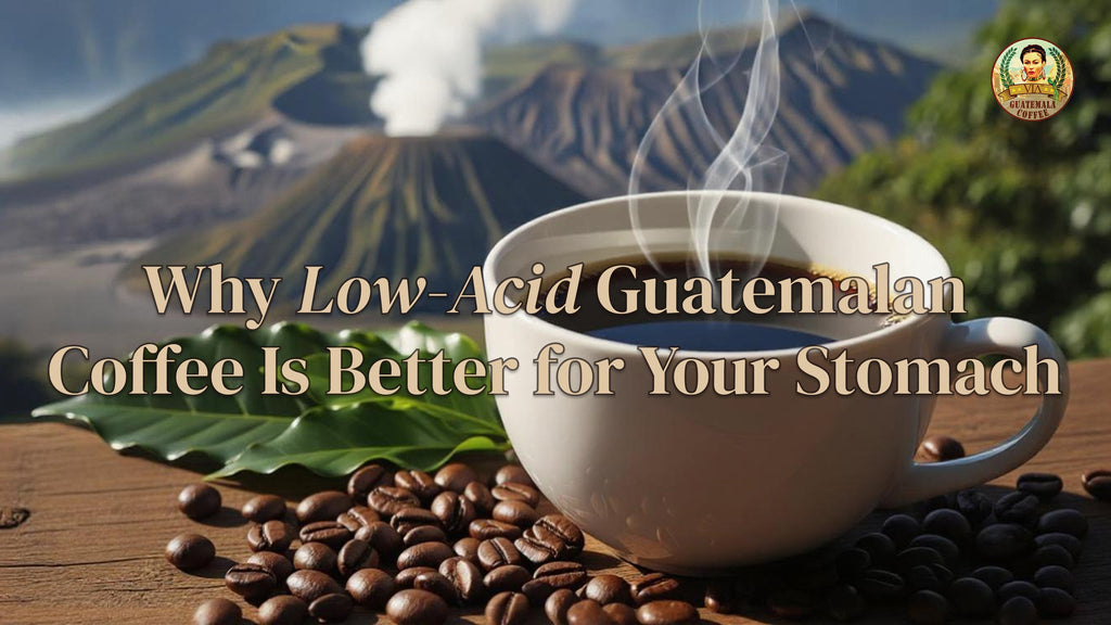 Low Acid Coffee: Why Guatemalan Beans Are Gentle on Your Stomach