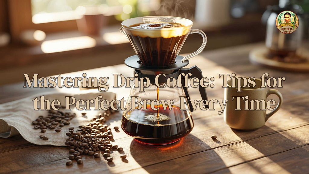 Mastering Drip Coffee: Tips for the Perfect Brew Every Time