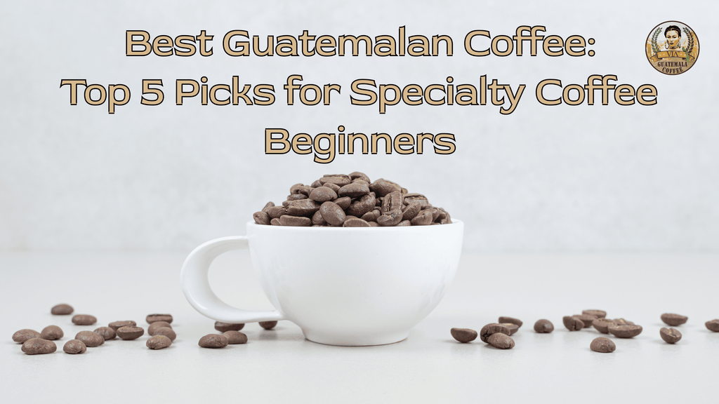 Best Guatemalan Coffee: Top 5 Premium Specialty Arabica Picks