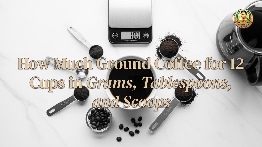 How Much Ground Coffee for 12 Cups: Expert Ratios in Grams, Tbsp & Scoops