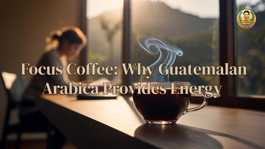 Focus Coffee: Why Guatemalan Arabica Provides Energy Without Jitters