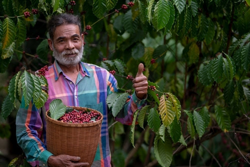 What Is Single Origin Coffee And Why It Is Special