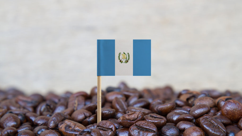 How to Brew the Perfect Cup of Guatemalan Coffee in Cold Weather