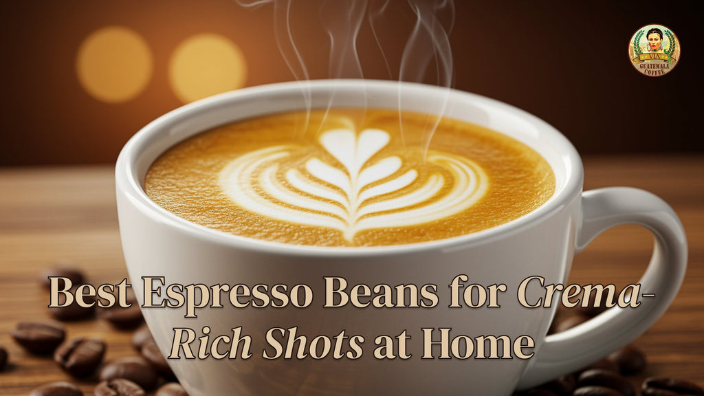Best Espresso Beans for Crema-Rich Shots at Home