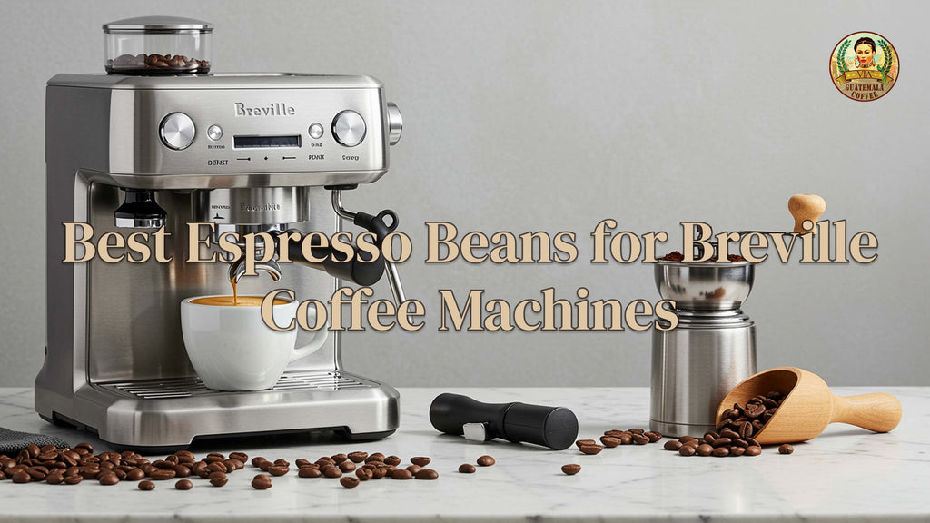 Best Espresso Beans for Breville Coffee Machines 2025