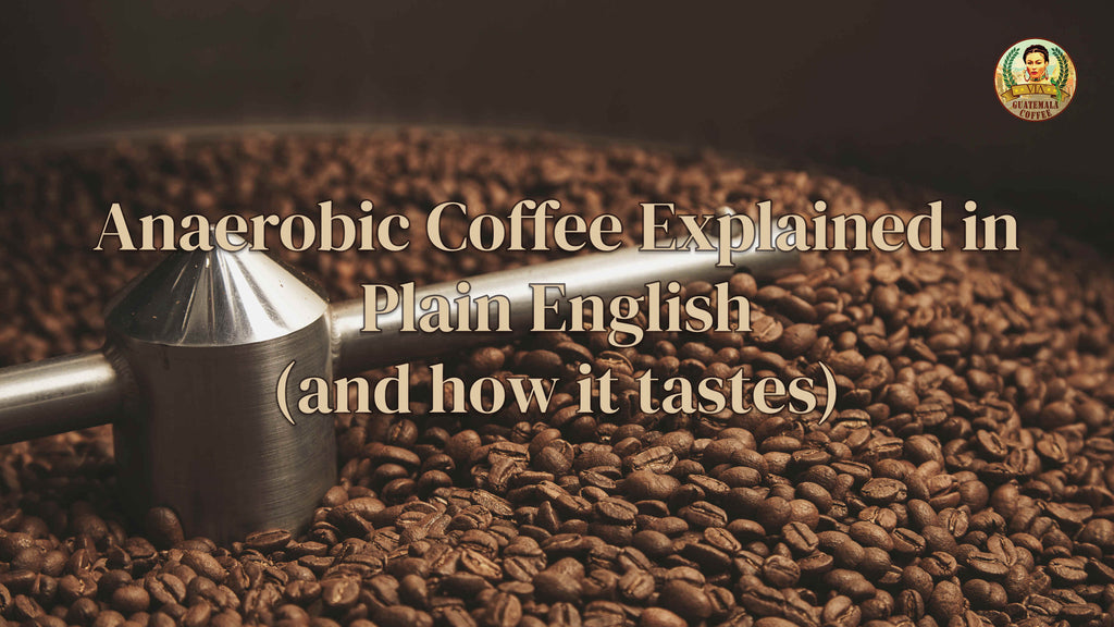 naerobic Coffee Explained in Plain English (and how it tastes)