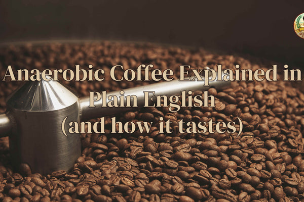 naerobic Coffee Explained in Plain English (and how it tastes)