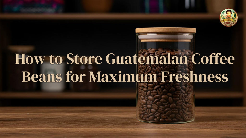 How to Store Guatemalan Coffee Beans for Maximum Freshness