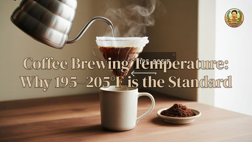 Coffee Brewing Temperature: Why 195–205°F is the Gold Standard