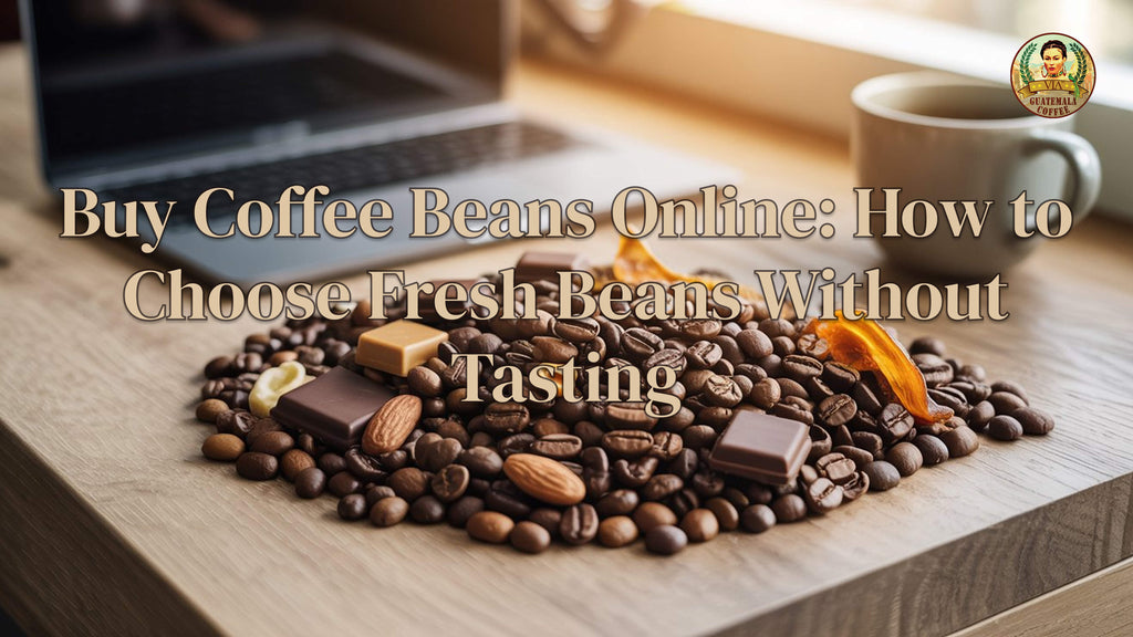 Buy Coffee Beans Online: How to Choose Fresh Beans Without Tasting
