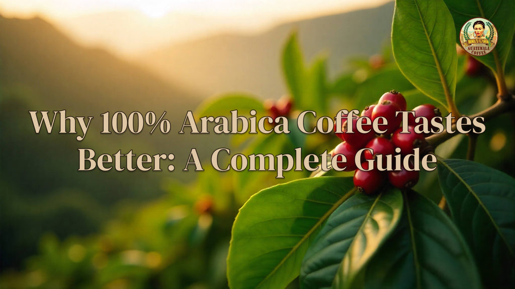 Why 100% Arabica Coffee Tastes Better: A Complete Guide