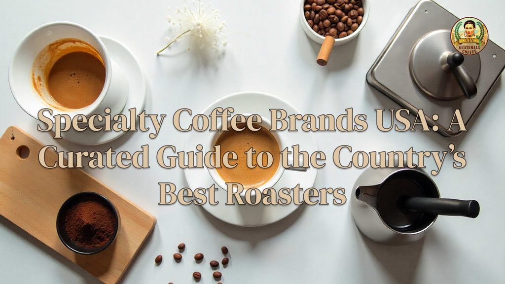Specialty Coffee Brands USA: A Curated Guide to the Country’s Best Roasters