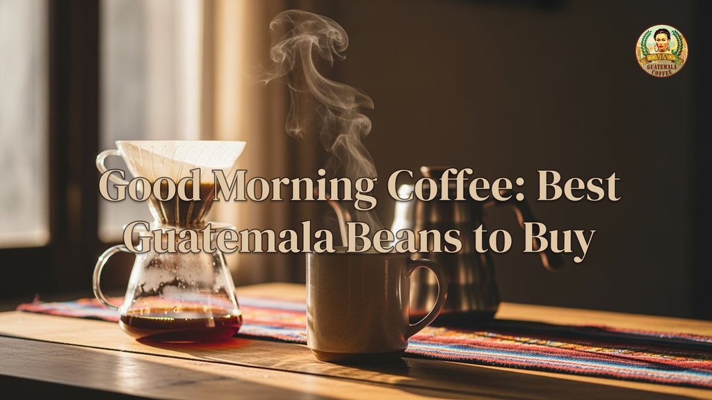 Good Morning Coffee: Best Guatemala Beans to Buy (2025)