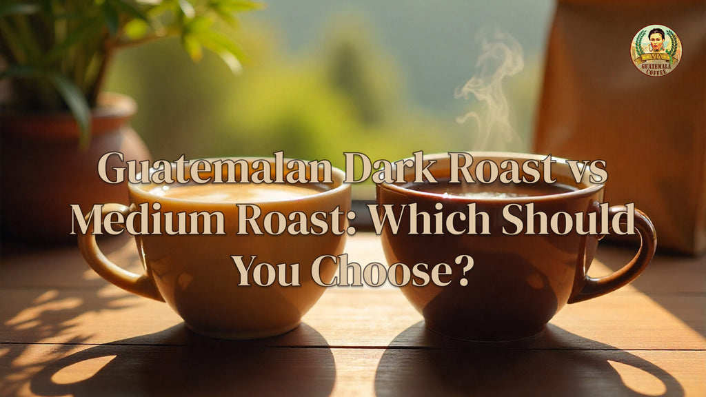 Guatemalan Dark Roast vs Medium Roast: Which Should You Choose?