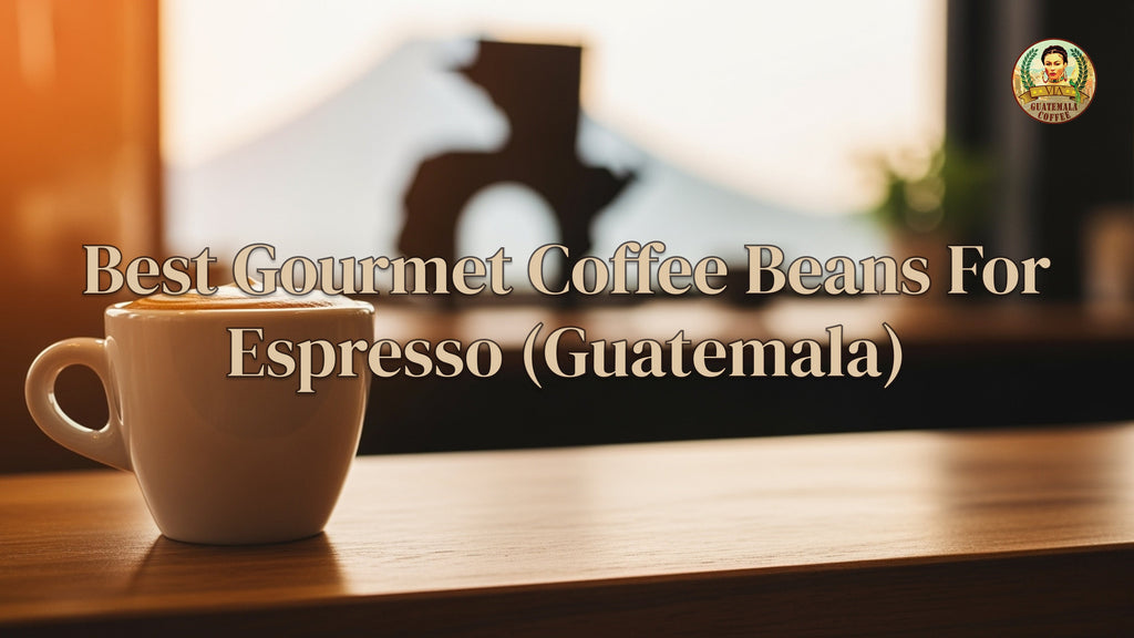 Best Gourmet Coffee Beans For Espresso (Guatemala)