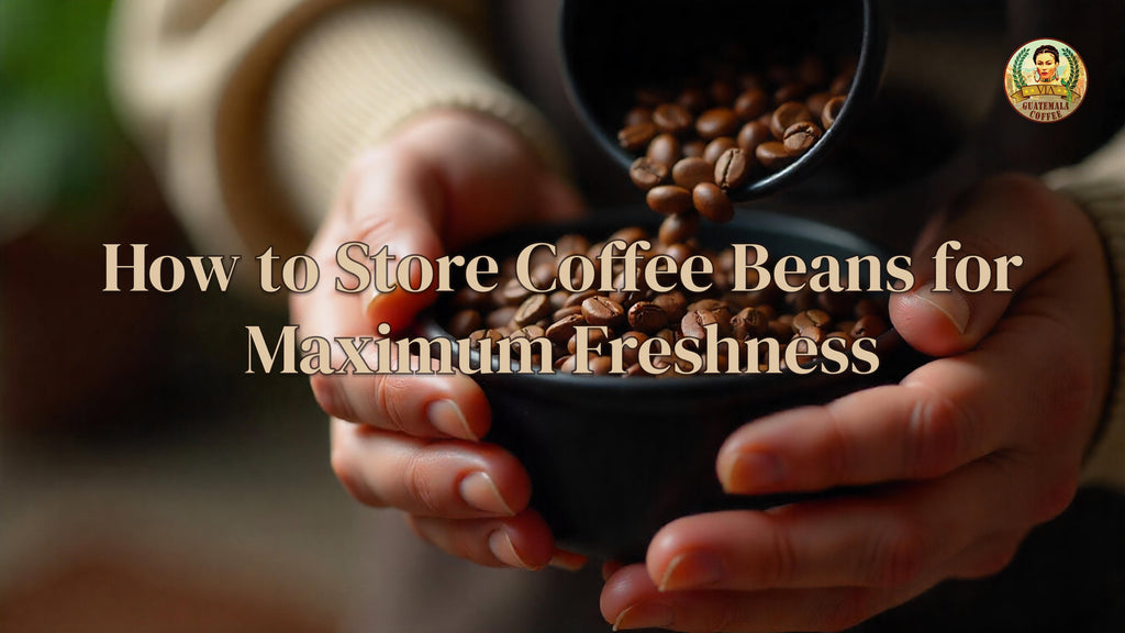 How to Store Coffee Beans for Maximum Freshness