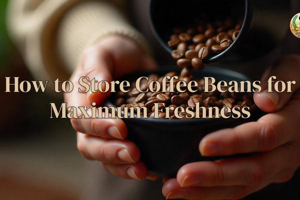 How to Store Coffee Beans for Maximum Freshness