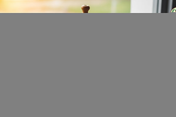 Where To Buy Gourmet Coffee Beans Online | Fresh, Fast Shipping