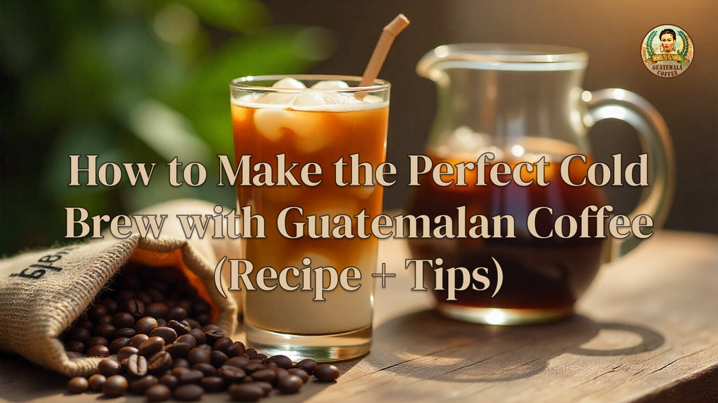 How to Make the Perfect Cold Brew with Guatemalan Coffee (Recipe + Tips)