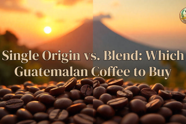 Single Origin vs. Blend: Which Guatemalan Coffee to Buy