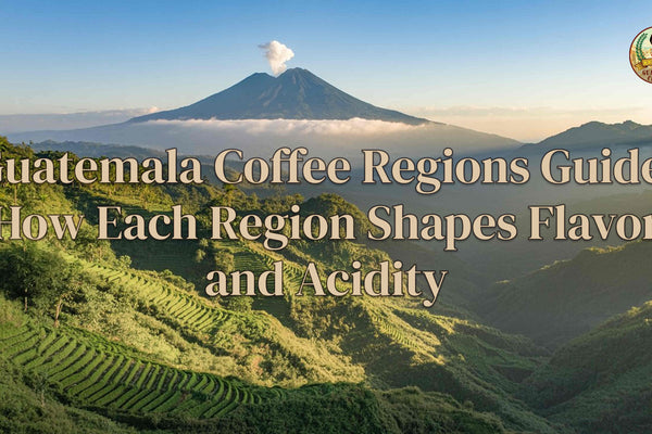 Guatemala Coffee Regions Guide: How Each Region Shapes Flavor and Acidity
