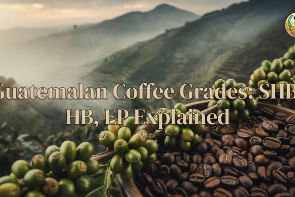 Guatemalan coffee grades