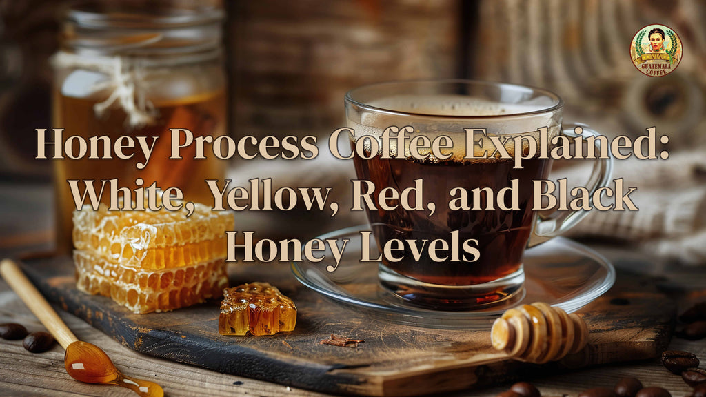 Honey Process Coffee Explained: White, Yellow, Red, and Black Honey Levels