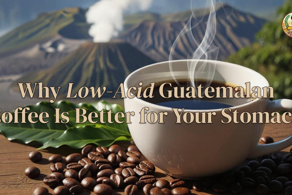 Low acid Guatemalan coffee in white mug with coffee beans - stomach-friendly coffee from Via Guatemala