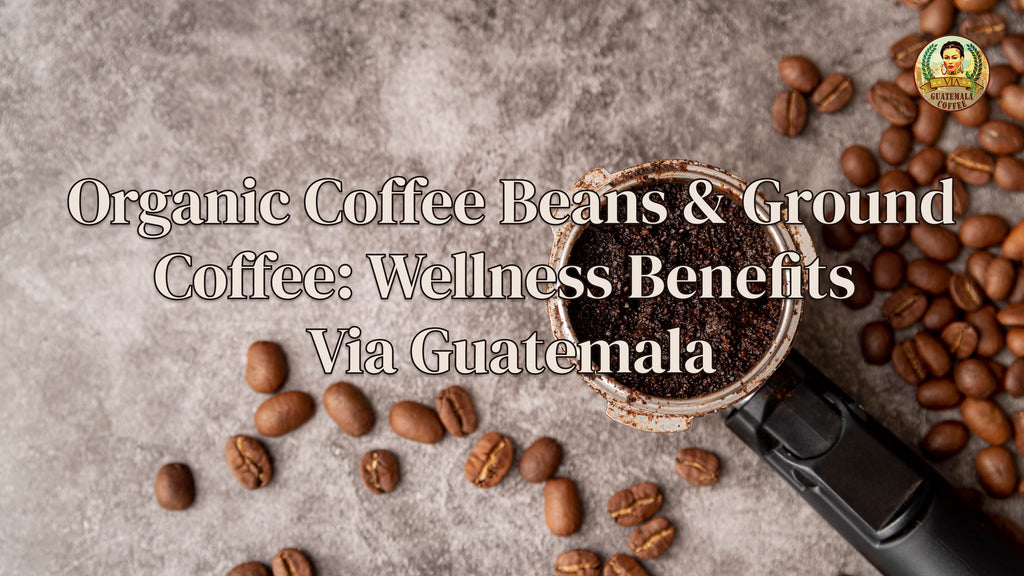 Organic Coffee Beans & Ground Coffee: Wellness Benefits | Via Guatemala