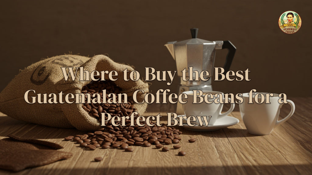 Where to Buy Guatemalan Coffee Beans (2025 Guide)