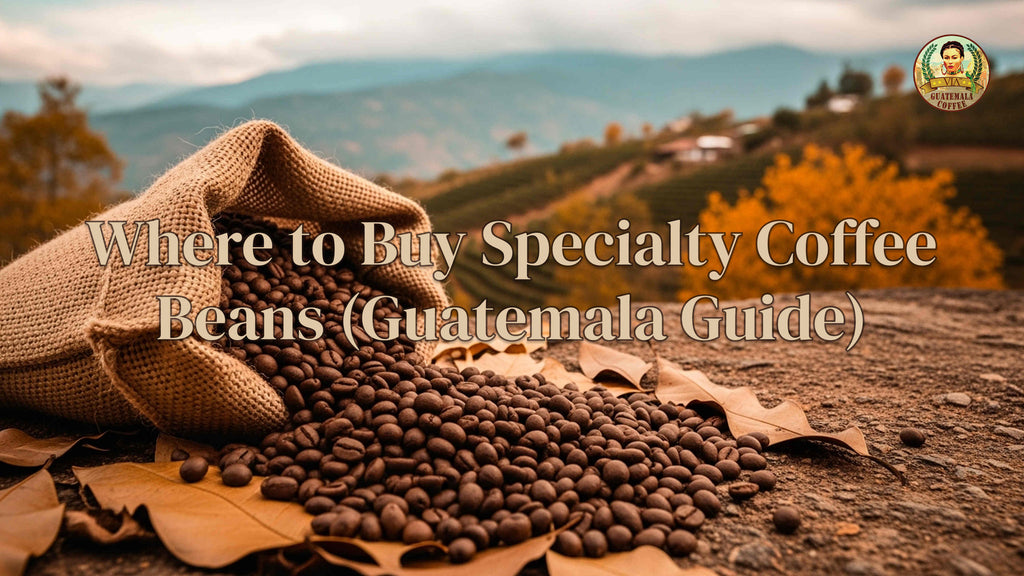 Where to Buy Specialty Coffee Beans (Guatemala Guide)