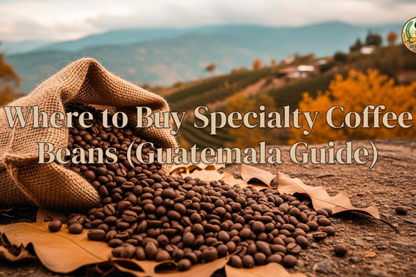 Where to Buy Specialty Coffee Beans (Guatemala Guide)