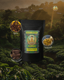 Mayan Cardamom - Medium Roast Guatemala Coffee Arabica