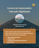 Mayan Power - Medium Roast Guatemala Coffee Arabica